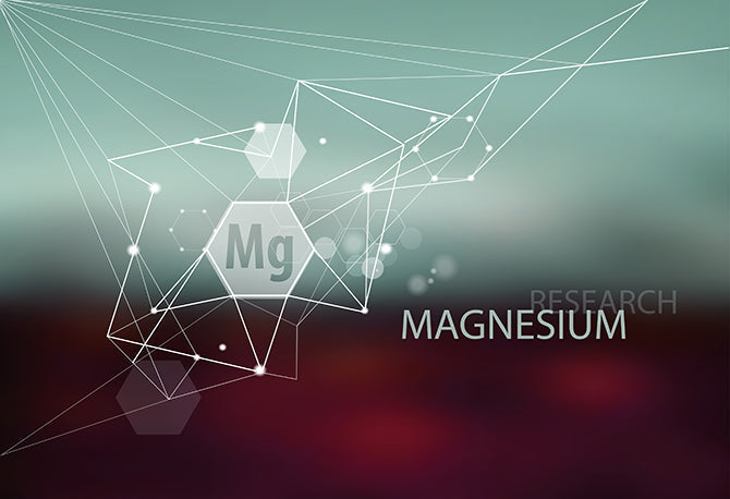 Das Salz der inneren Ruhe: Magnesium für Hunde