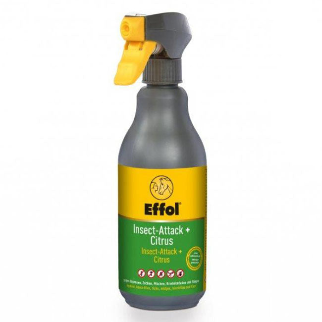1068EFI – Bild 0