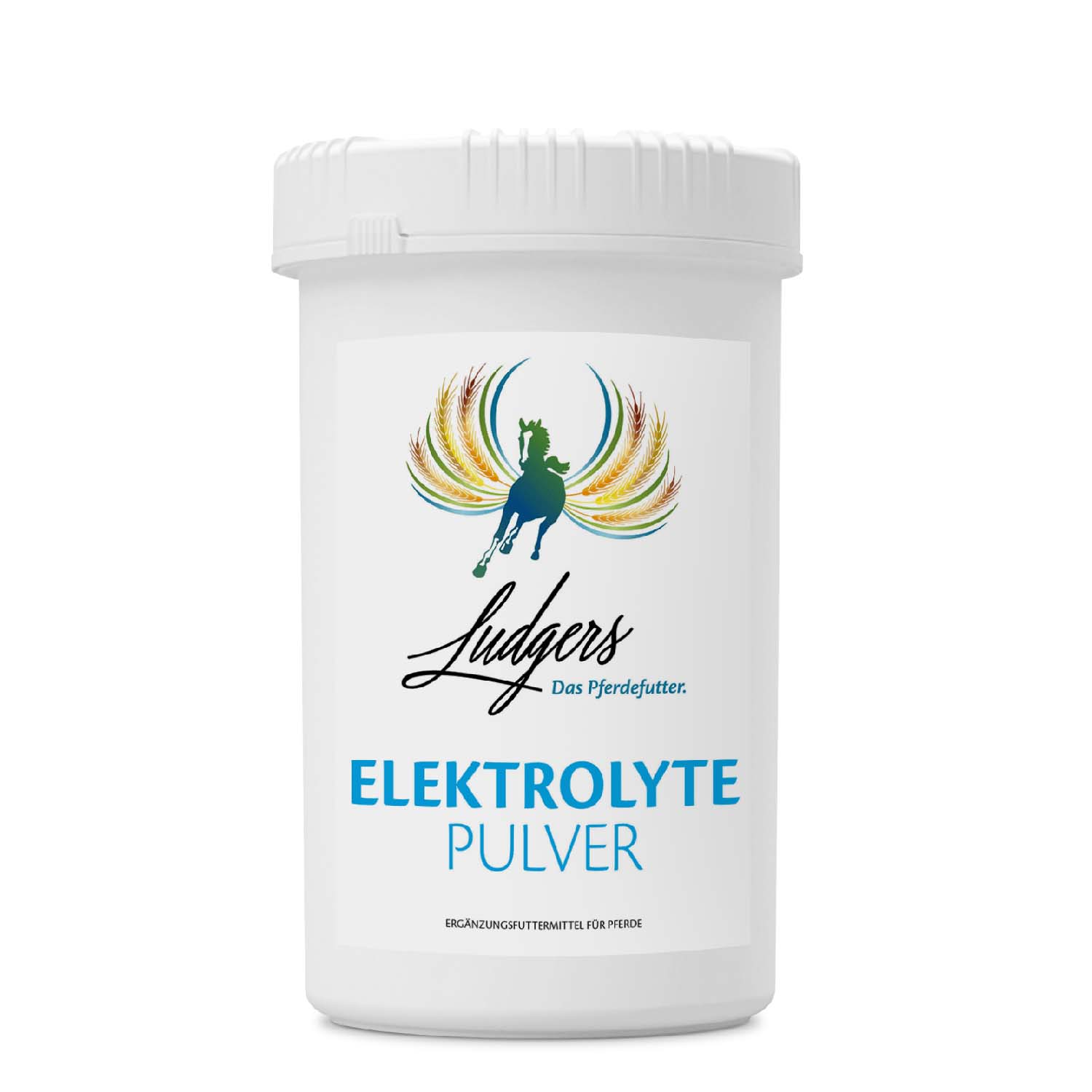 Ludgers Elektrolyte Pulver 2,2 kg