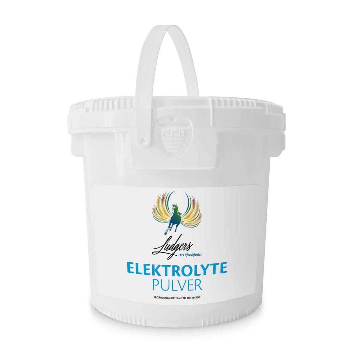 Ludgers Elektrolyte Pulver 7 kg