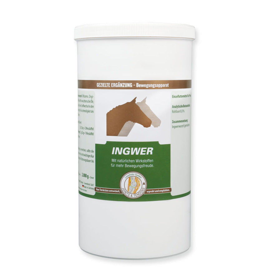 VETRIPHARM Ingwer 800g