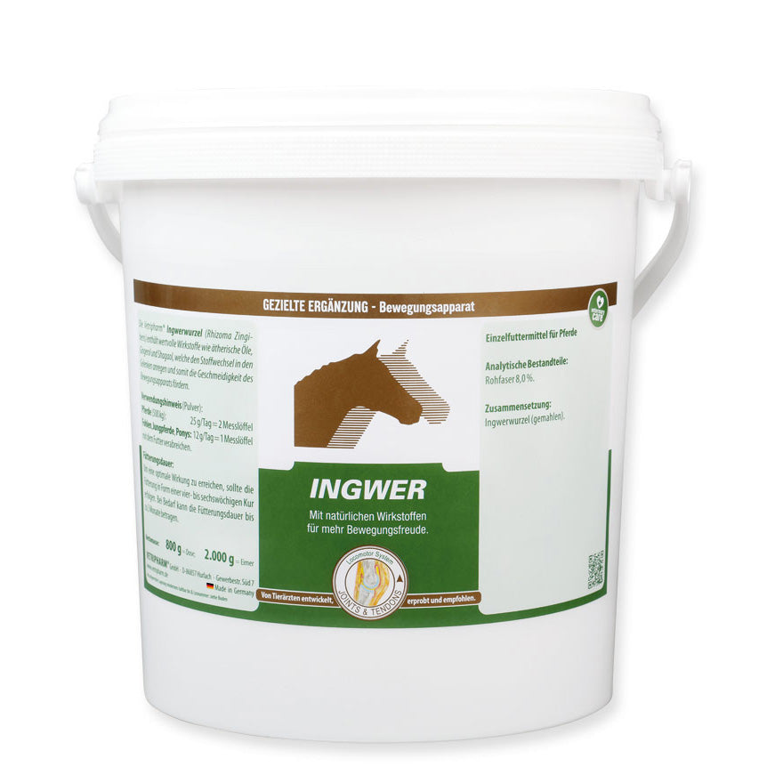 VETRIPHARM Ingwer 2000g