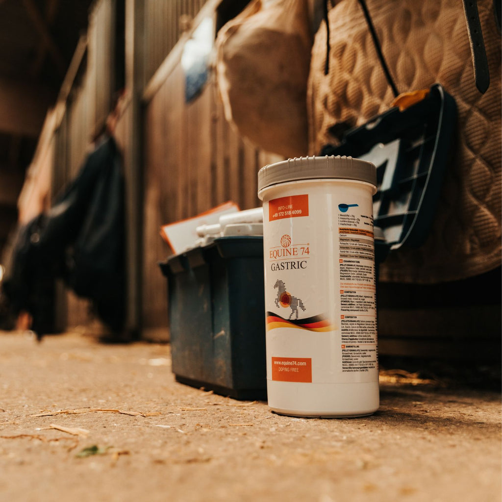 Equine 74 Gastric Pulver 2kg