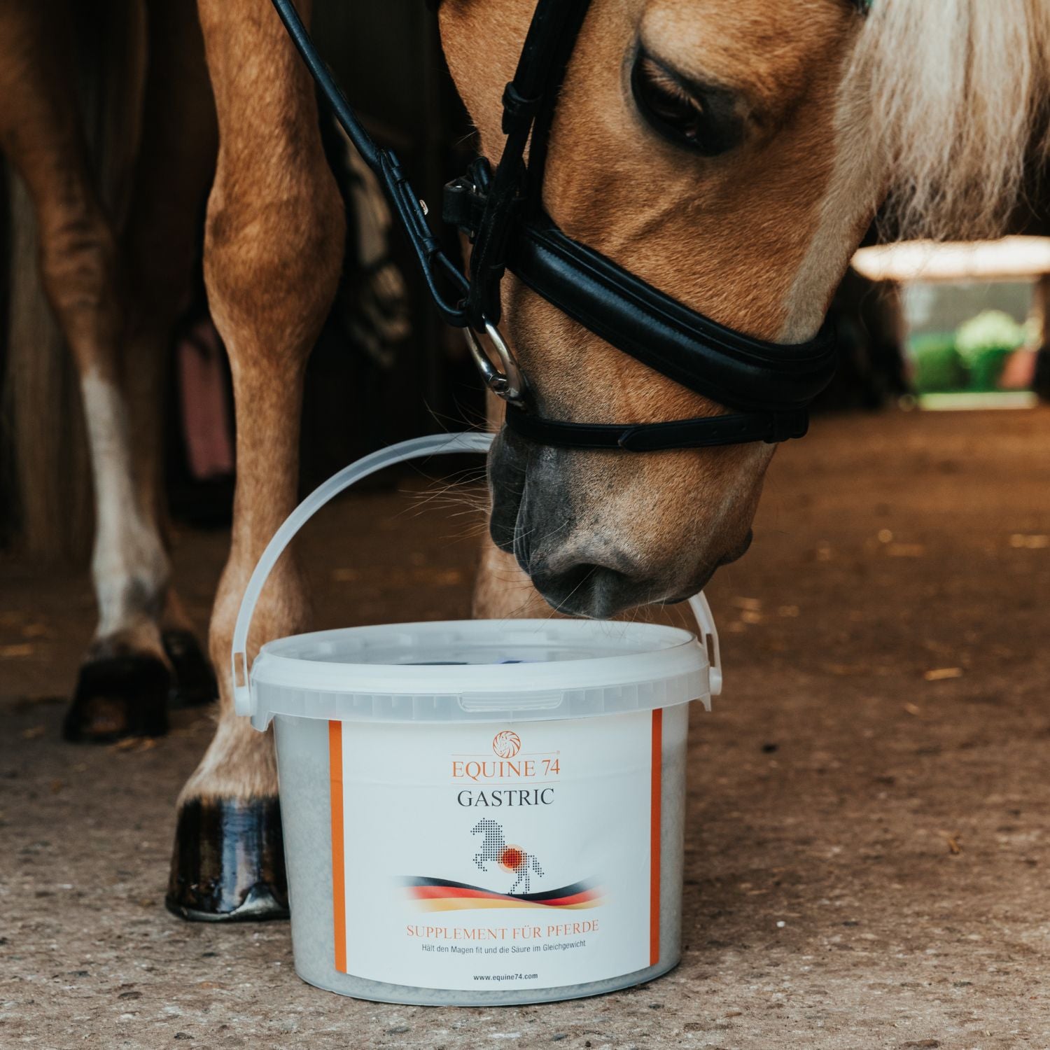 Equine 74 Gastric Pulver 6kg