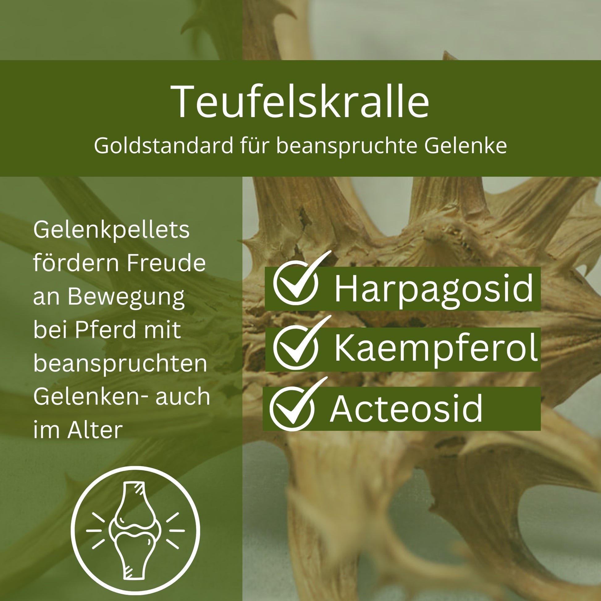 Equidocs Teufelskralle-Ingwer-MSM Pellets 1500g