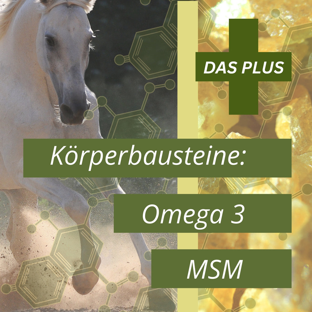 Equidocs Teufelskralle-Ingwer-MSM Pellets 1500g