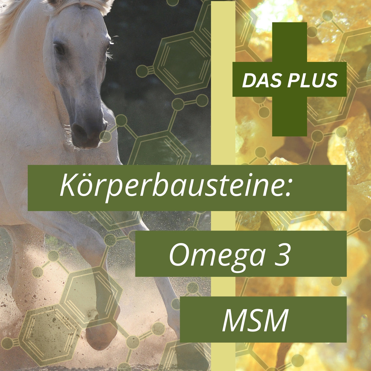 Equidocs Teufelskralle-Ingwer-MSM Pellets 1500g