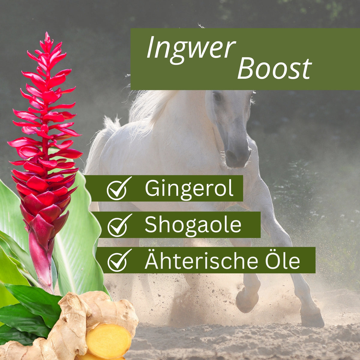 Equidocs Teufelskralle-Ingwer-MSM Pellets 1500g