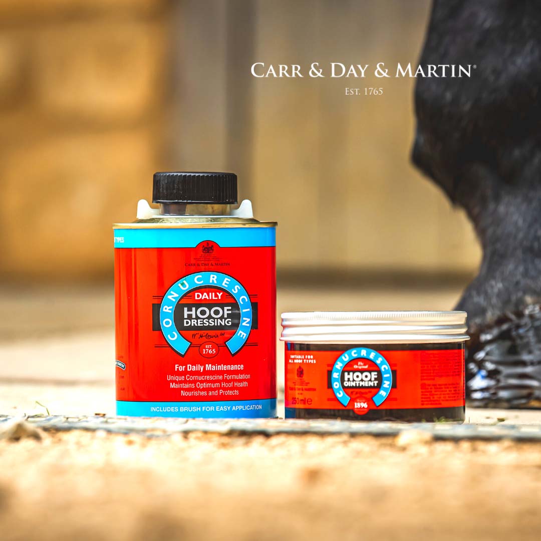 CDM Cornucrescine Original Hufsalbe 250ml