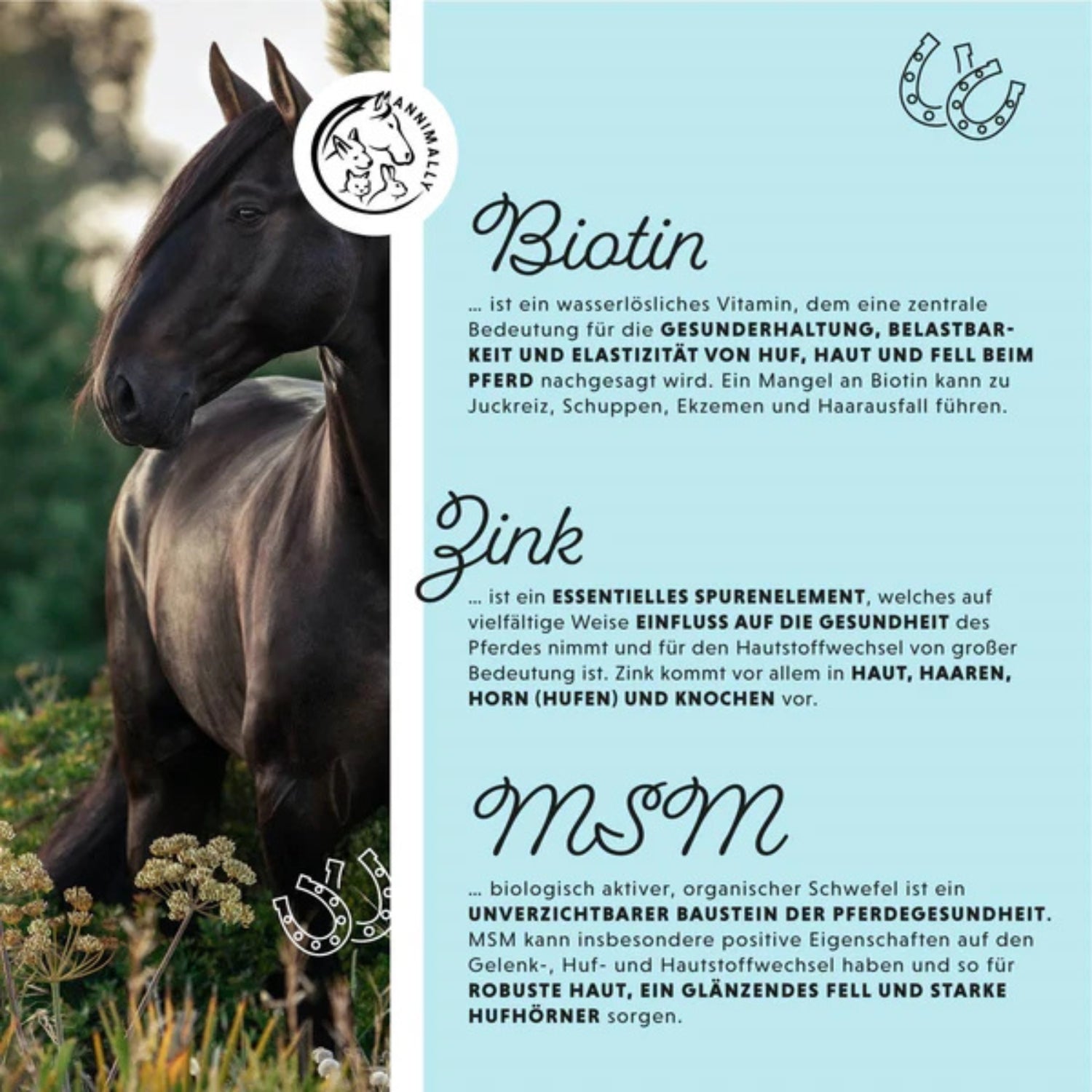 Annimally Biotin Liquid für Pferde 1000ml