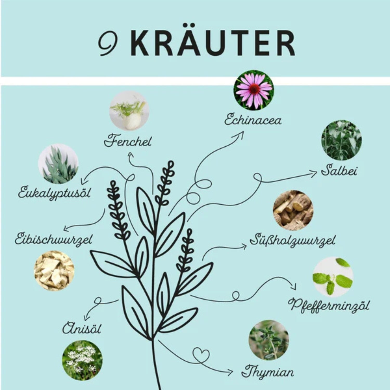 Annimally Bronchial Liquid für Pferde 1000ml