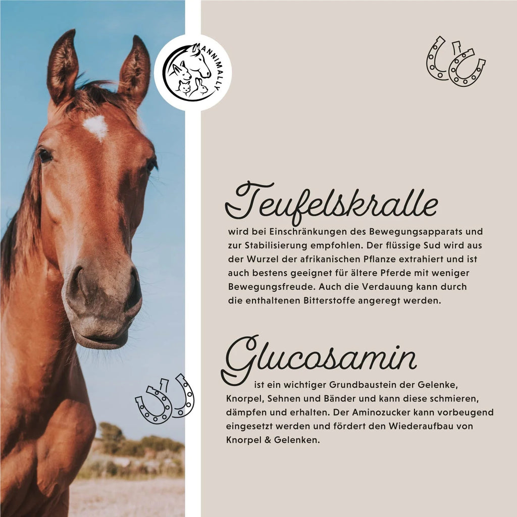 Annimally Gelenk Liquid für Pferde 1000ml