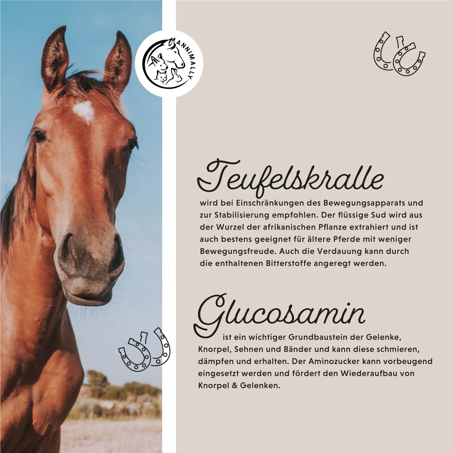 Annimally Gelenk Liquid für Pferde 1000ml
