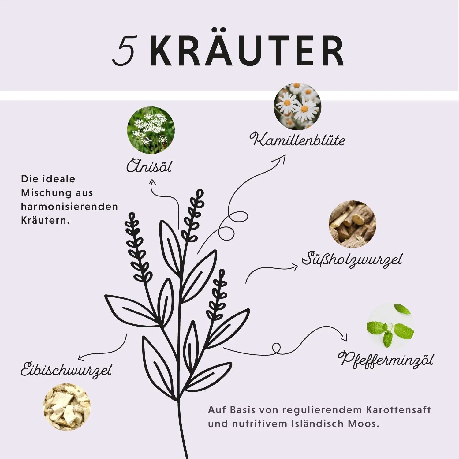 Annimally Magen-Darm Liquid für Pferde 1000ml
