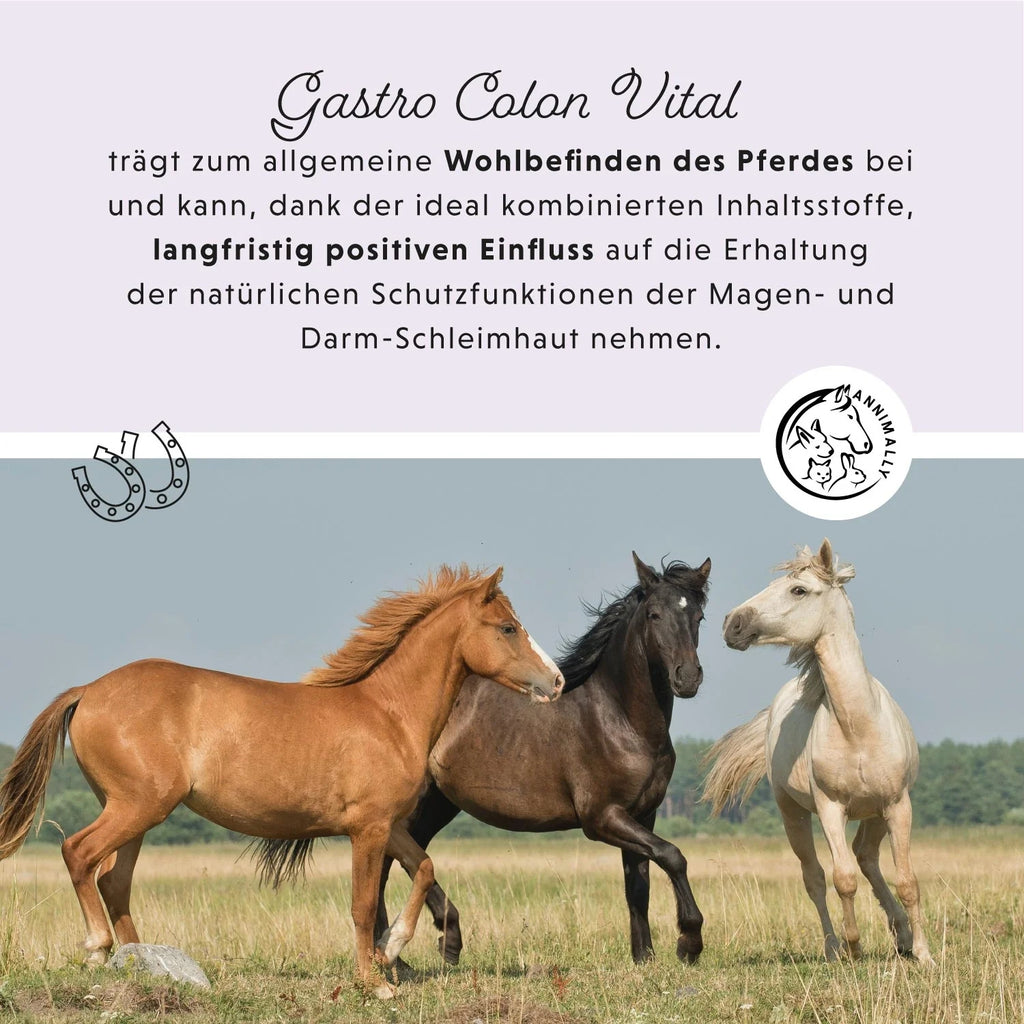 Annimally Magen-Darm Liquid für Pferde 1000ml