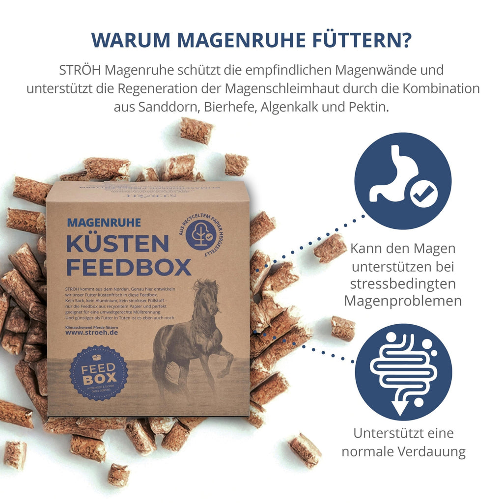 STRÖH Magenruhe für Pferde 5kg Feedbox XXS