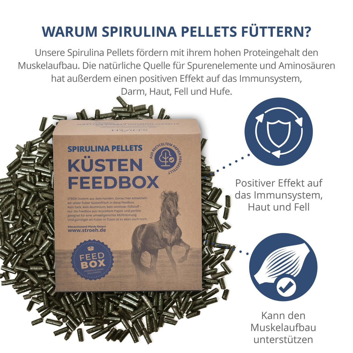 STRÖH Spirulina Pellets für Pferde 4kg Feedbox XXS