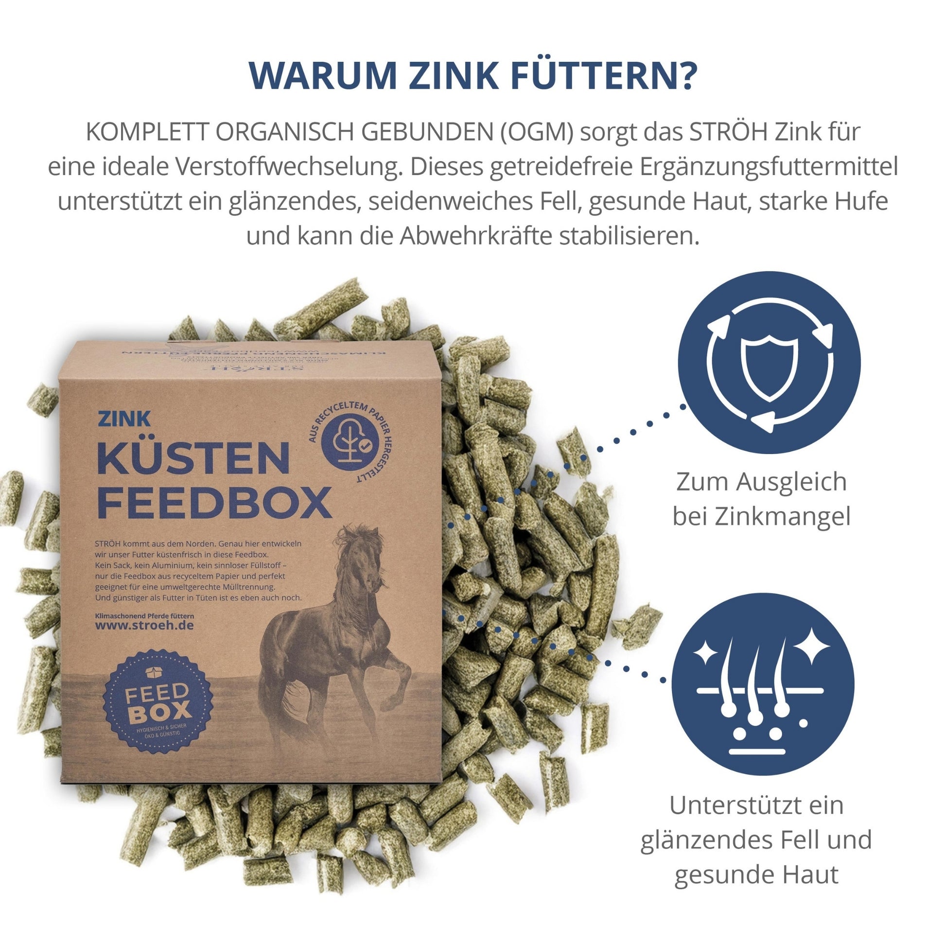 STRÖH Zink für Pferde 11kg Feedbox