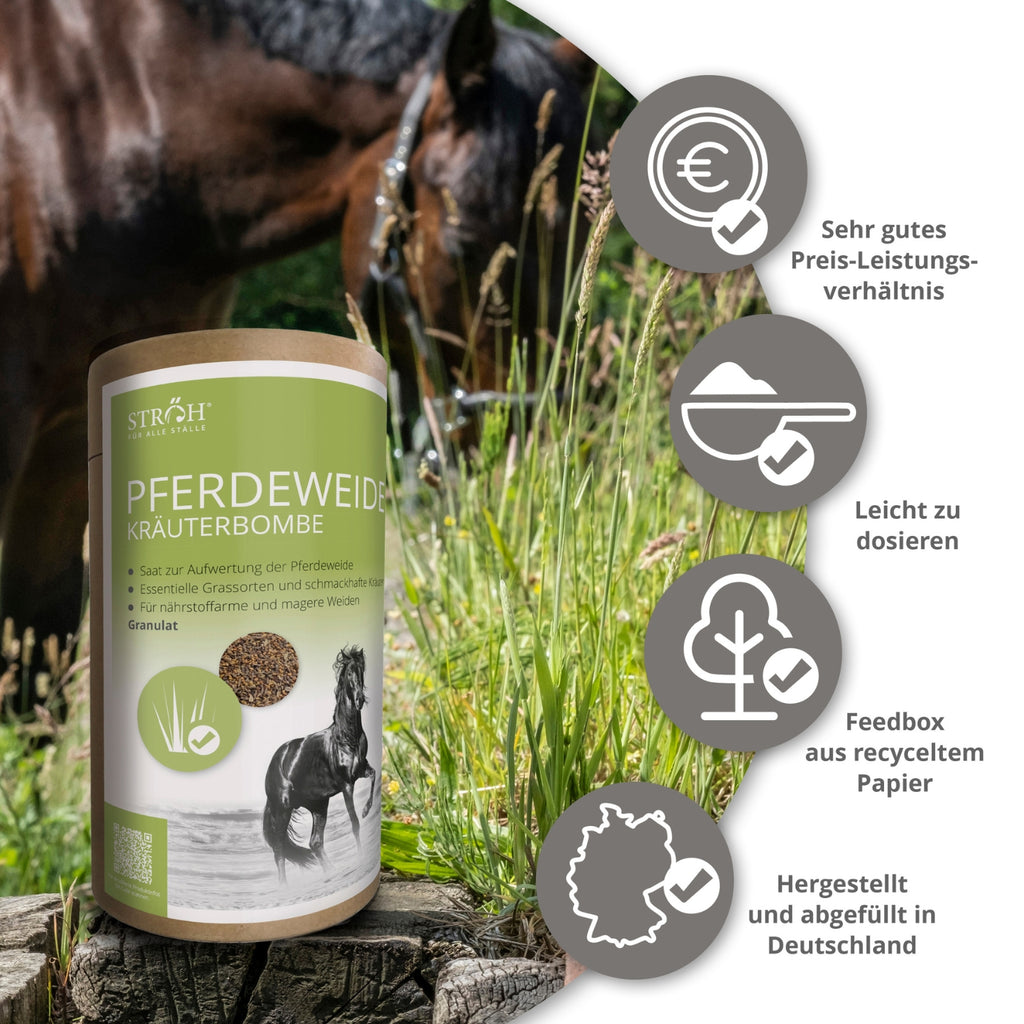 STRÖH Pferdeweide Kräuterbombe für Pferde 1kg Feedbox Dose
