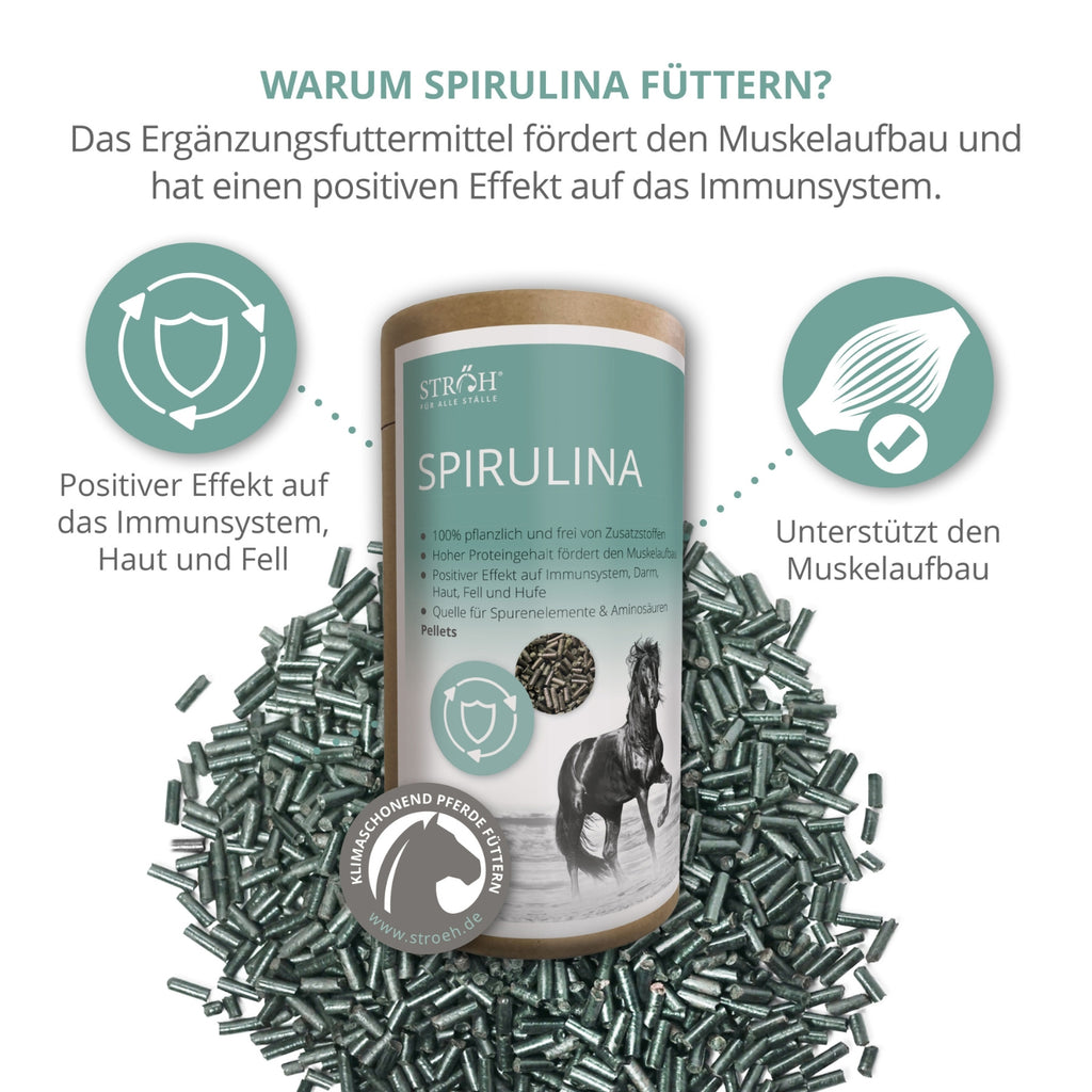 STRÖH Spirulina Pellets für Pferde 1,3kg Feedbox Dose