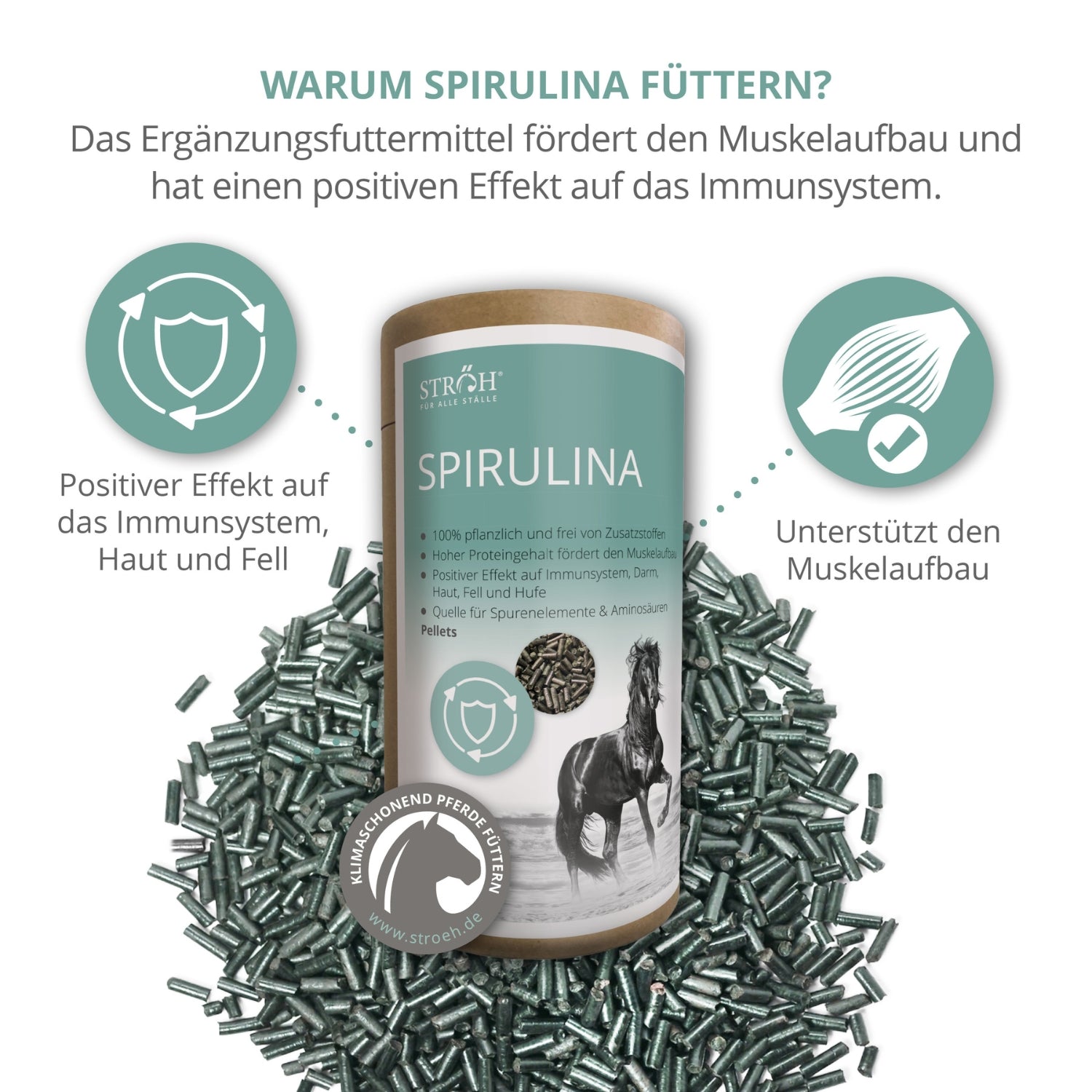 STRÖH Spirulina Pellets für Pferde 1,3kg Feedbox Dose