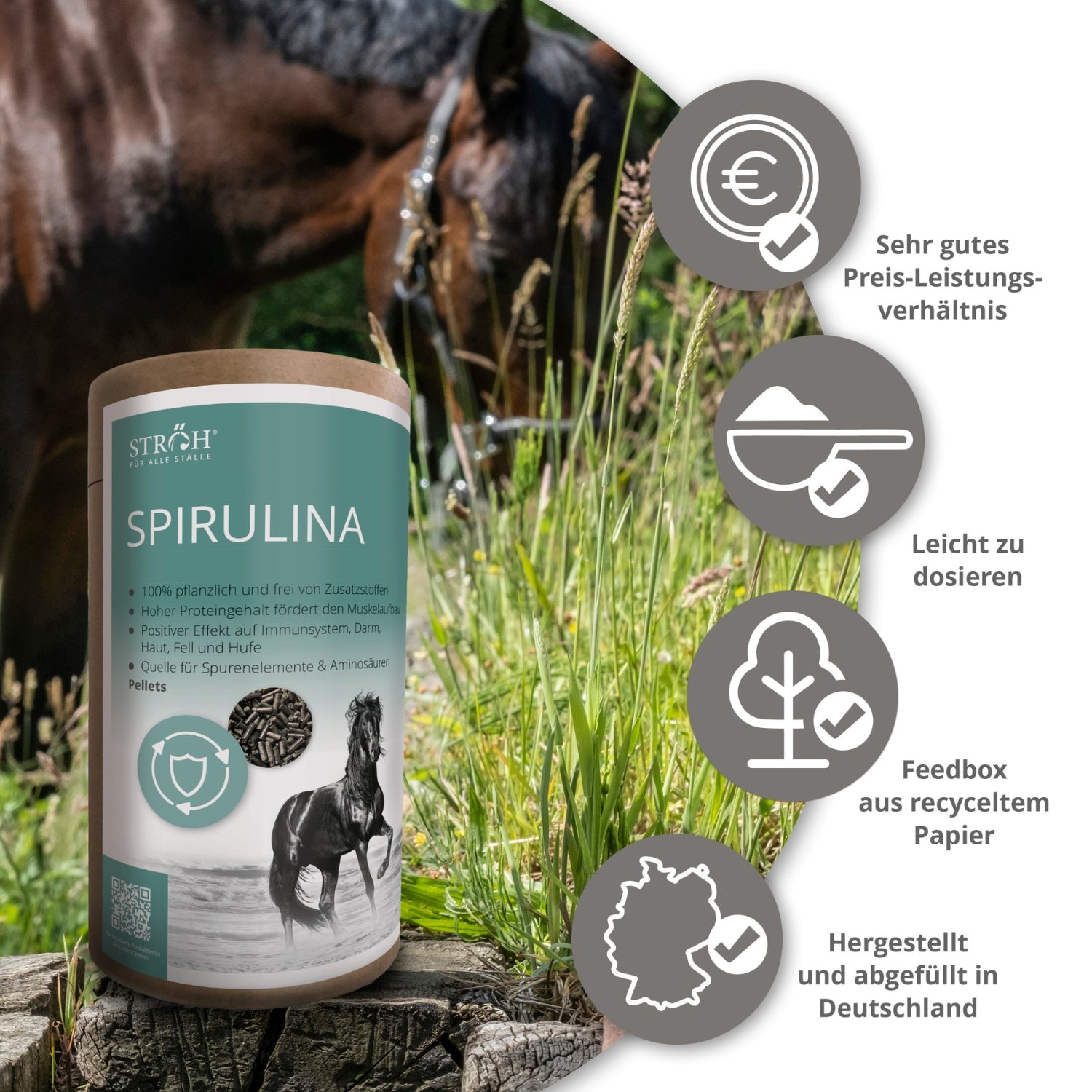 STRÖH Spirulina Pellets für Pferde 1,3kg Feedbox Dose