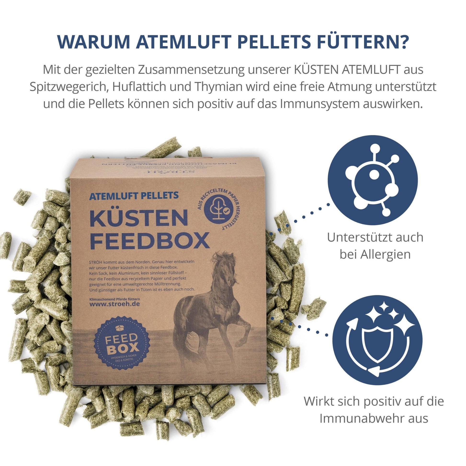 STRÖH Küsten Atemluft für Pferde 11kg Feedbox