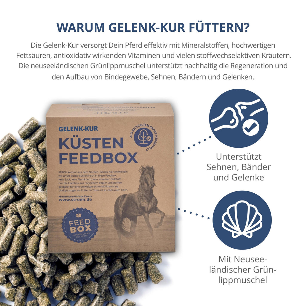 STRÖH Küsten Gelenk-Kur für Pferde 5kg Feedbox XXS