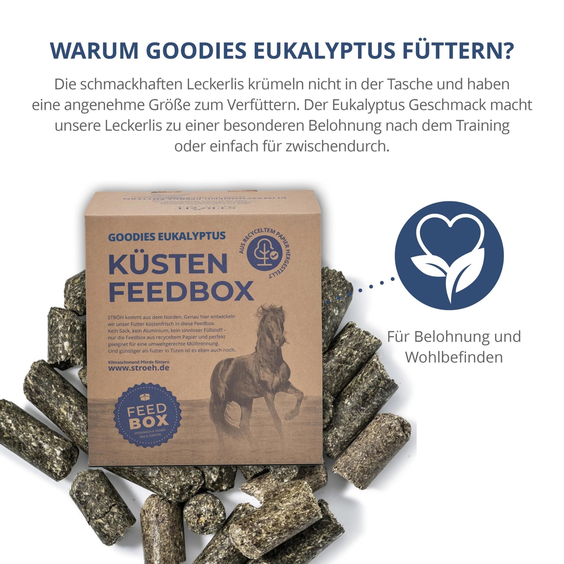 STRÖH Küsten Goodies Eukalyptus für Pferde 9kg Feedbox XS