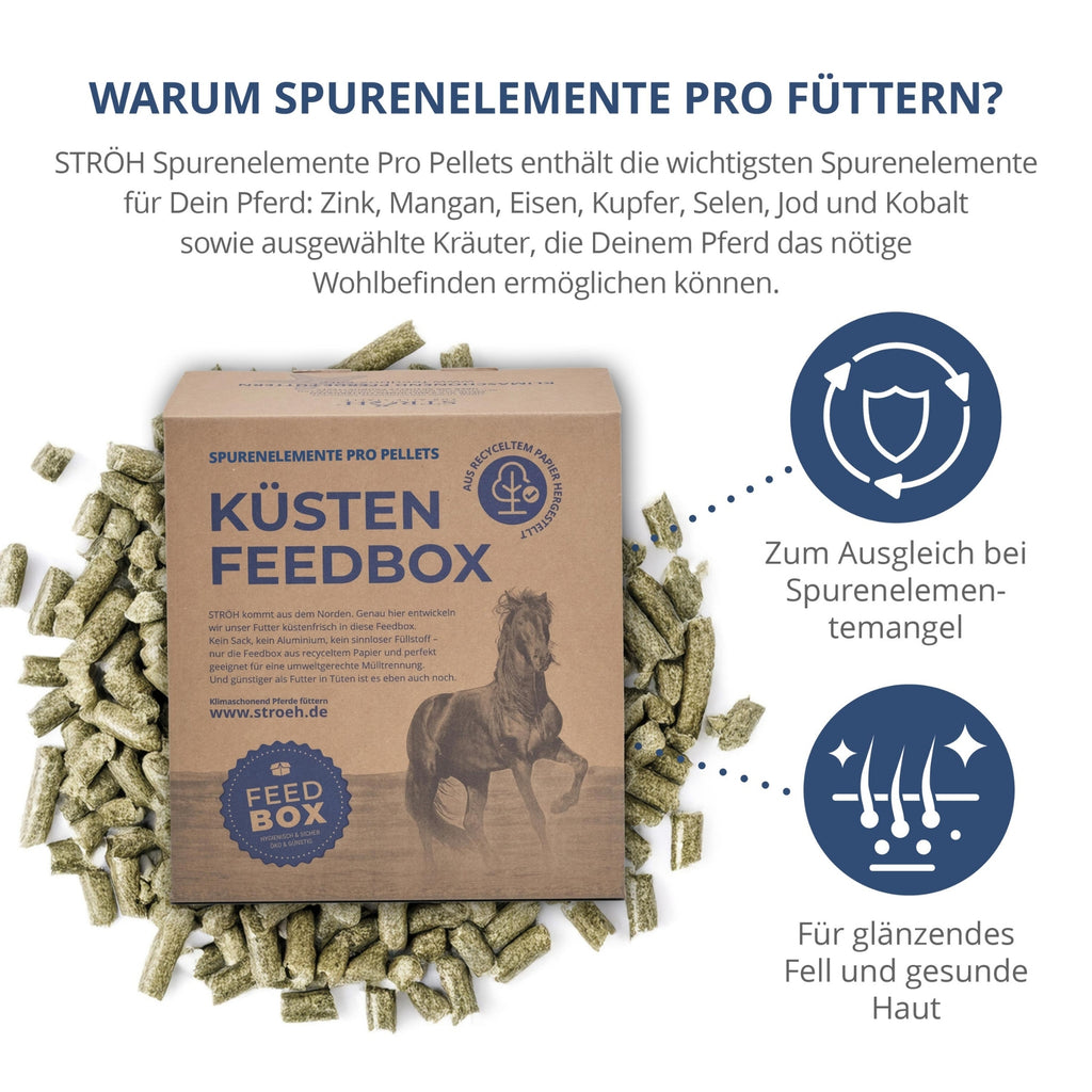 STRÖH Spurenelemente Pro Pellets für Pferde 5,5kg Feedbox XXS