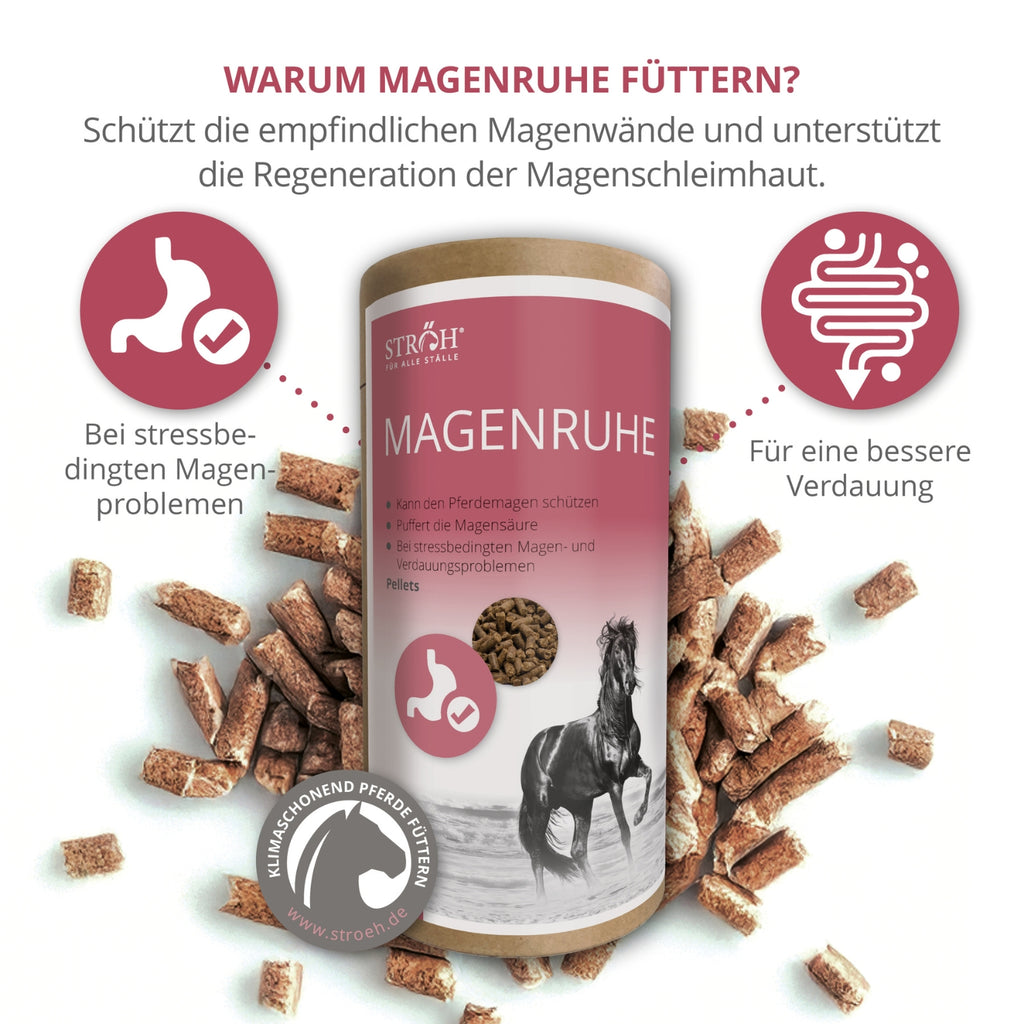 STRÖH Magenruhe für Pferde 1,5 kg Feedbox Dose