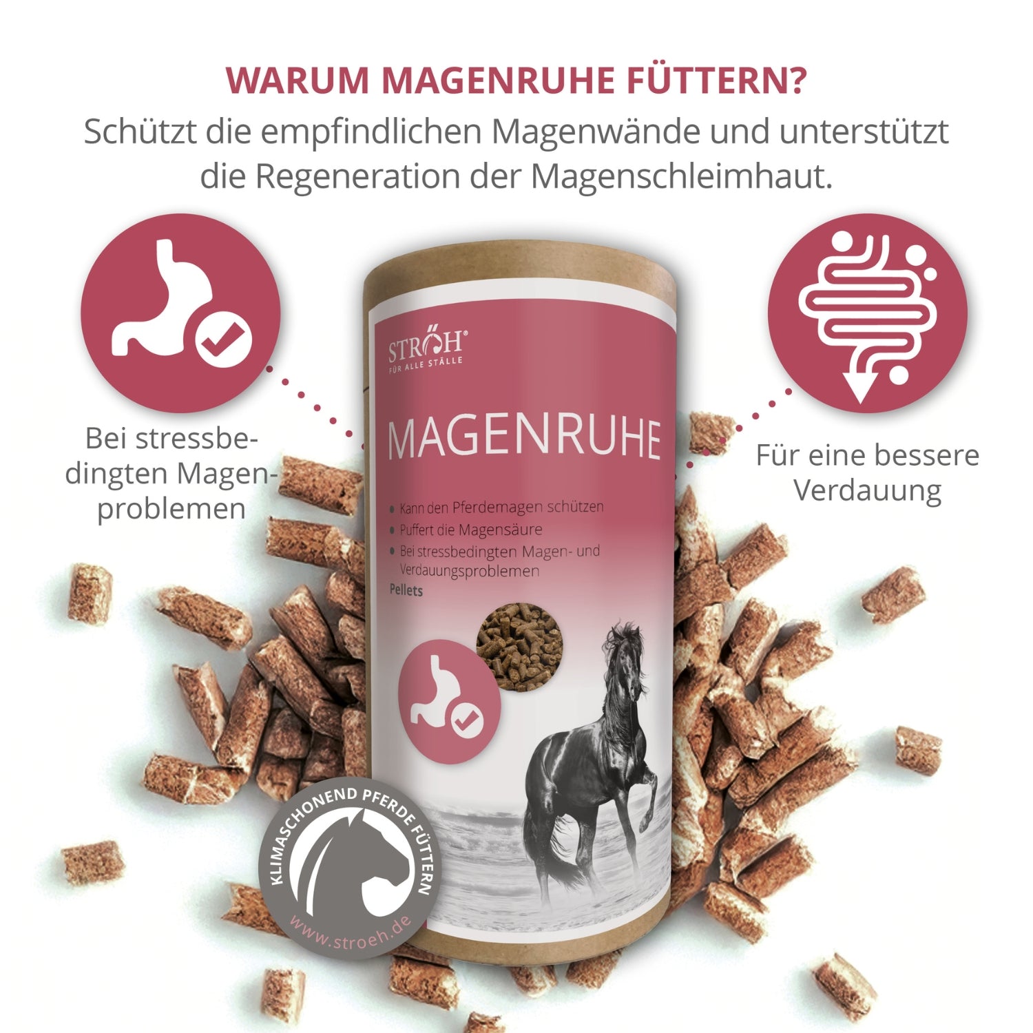 STRÖH Magenruhe für Pferde 1,5 kg Feedbox Dose