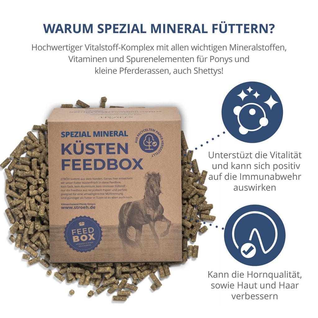 STRÖH Spezial Mineral für Pferde 5,5kg Feedbox XXS