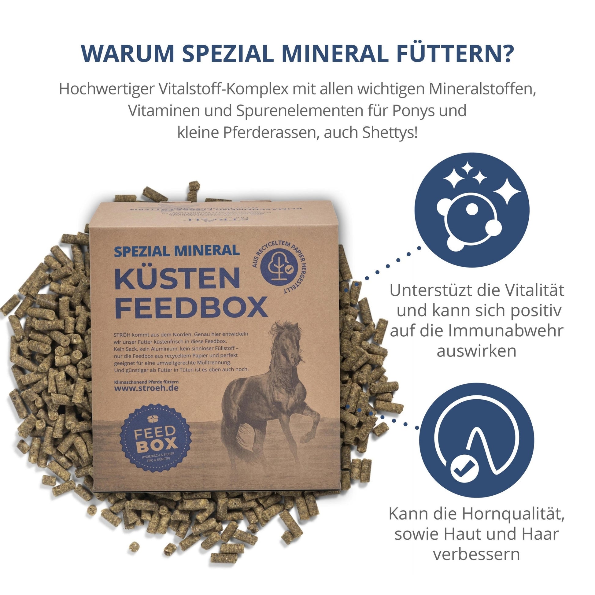 STRÖH Spezial Mineral für Pferde 5,5kg Feedbox XXS
