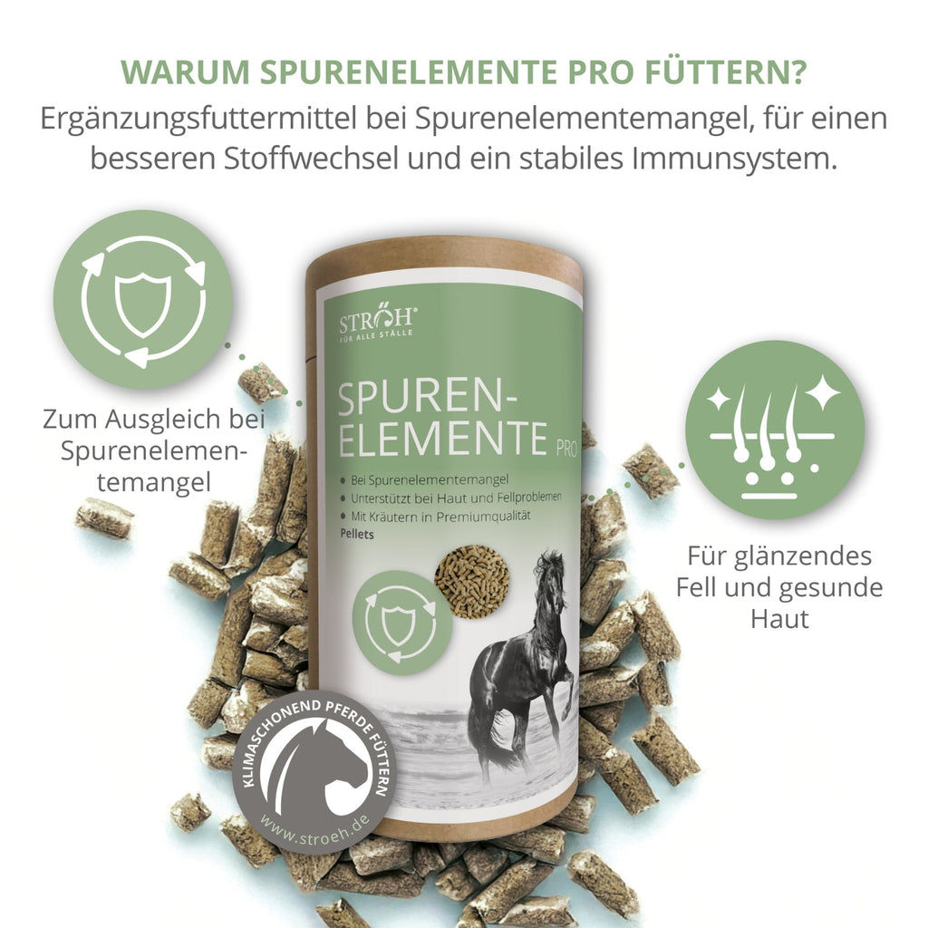 STRÖH Spurenelemente Pro Pellets für Pferde 1,2kg Feedbox Dose