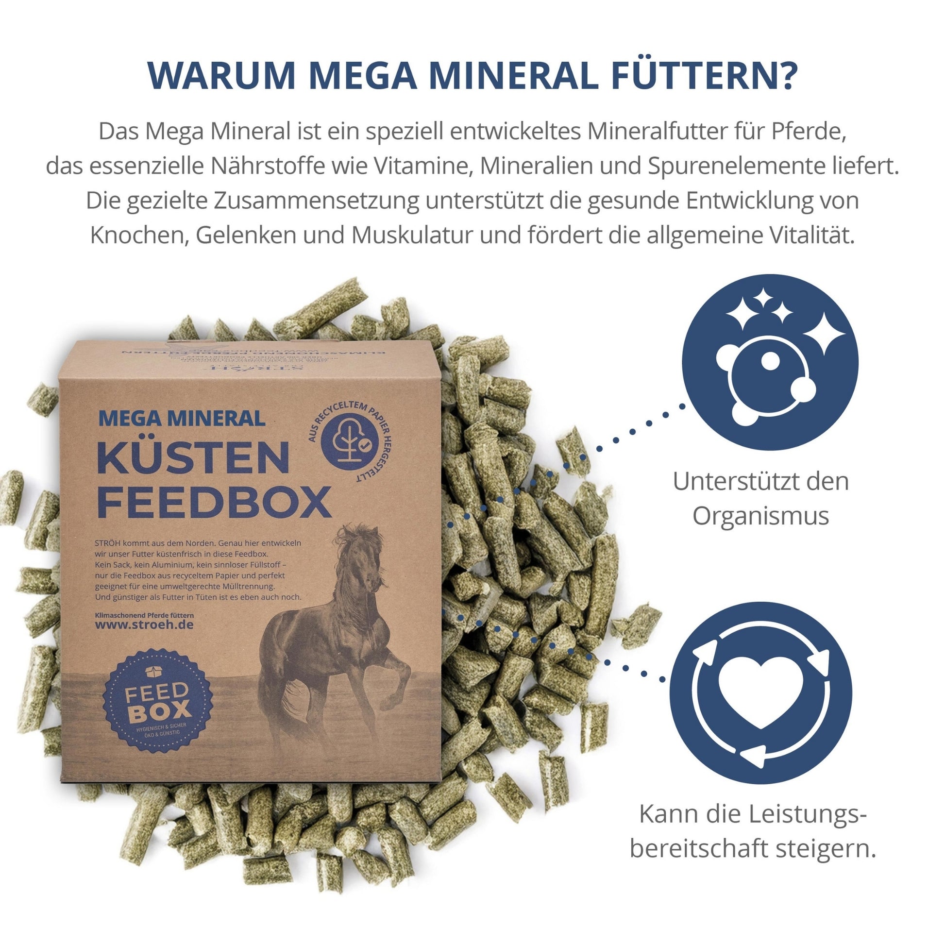STRÖH Mega Mineral für Pferde 7kg Feedbox