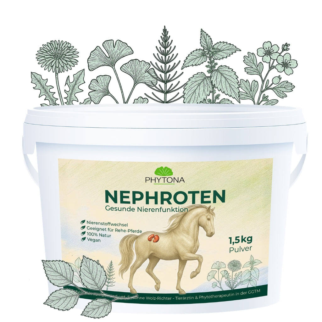 Phytona Nephroten 1500g