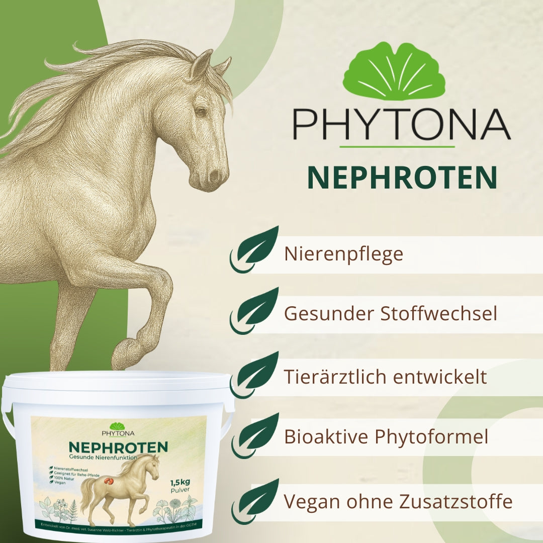 Phytona Nephroten 1500g
