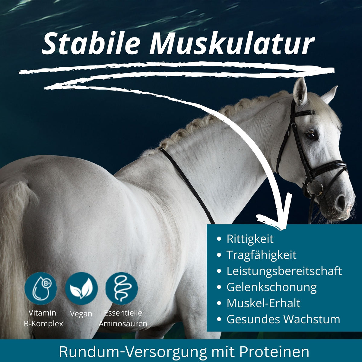 Equidocs MyoCheval Muskelaufbau Pearls für Pferde 1500g B-WARE