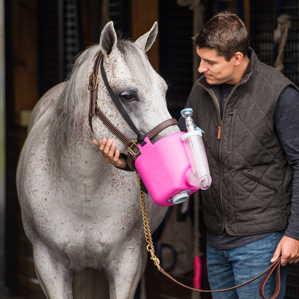 Flexineb E3 Inhalator für Pferde Komplettset Standardgröße Pink
