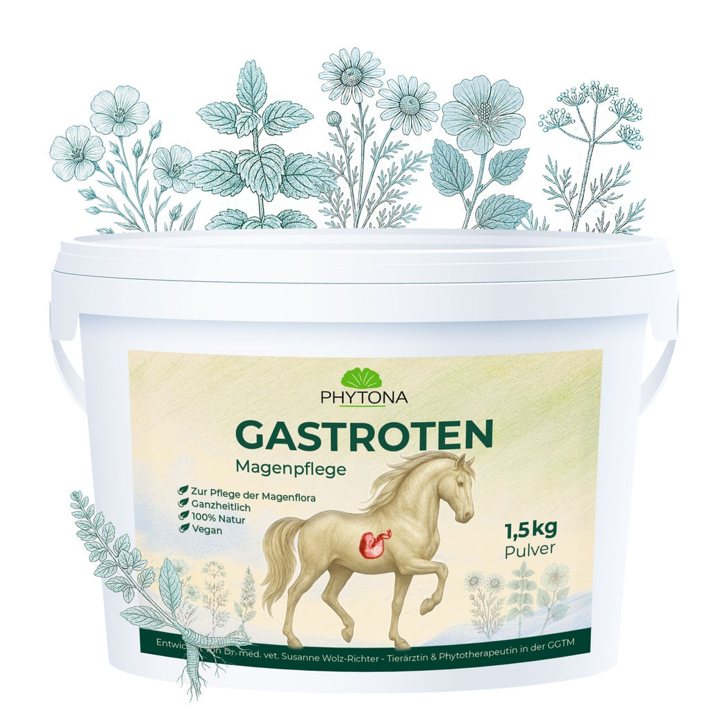 Phytona Gastroten 1500g