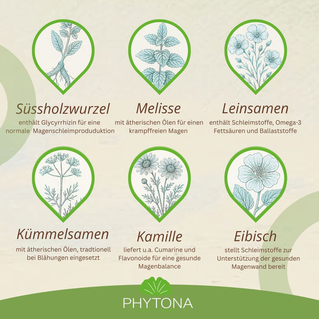 Phytona Gastroten 1500g