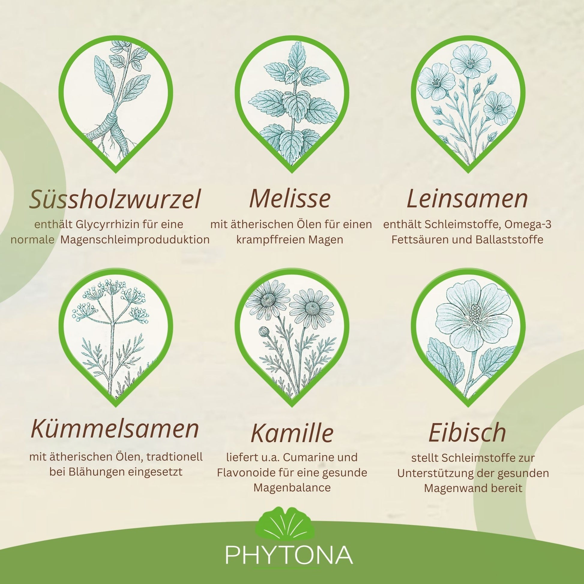Phytona Gastroten 1500g