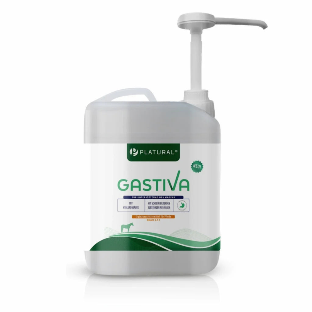 Gastiva 2,5l