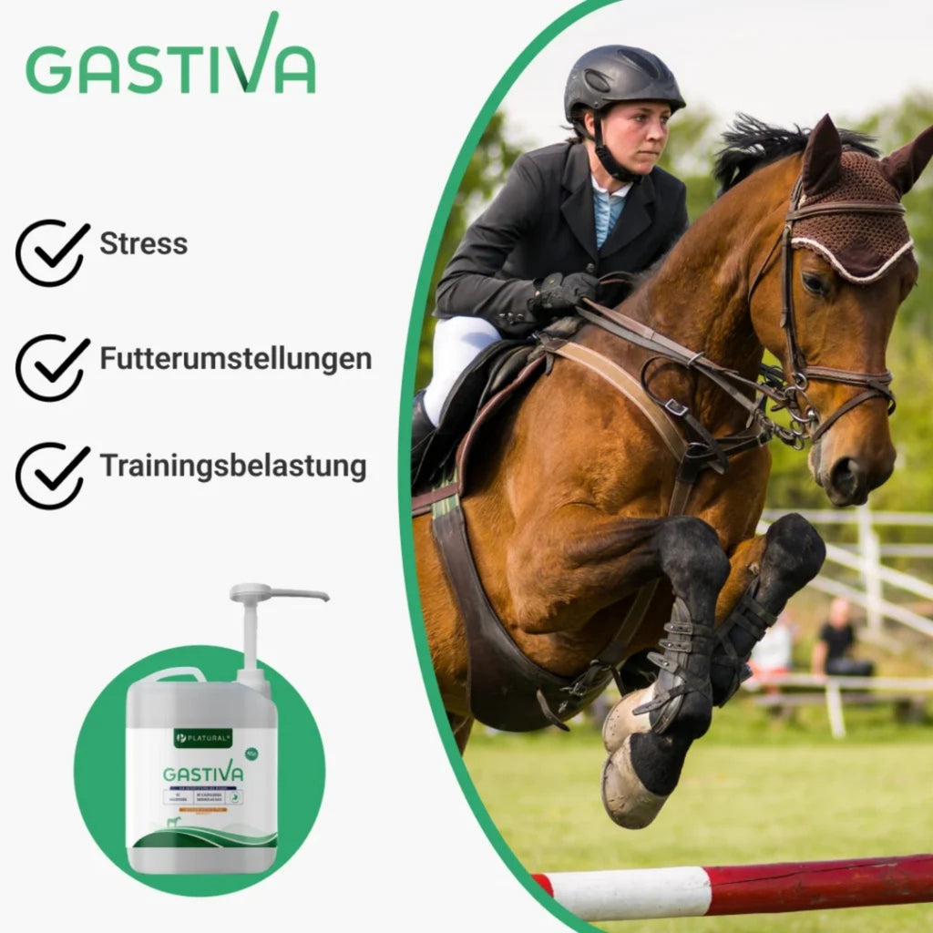 Gastiva 2,5l