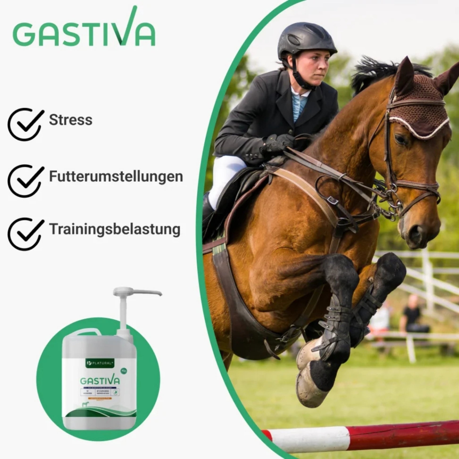 Gastiva 2,5l