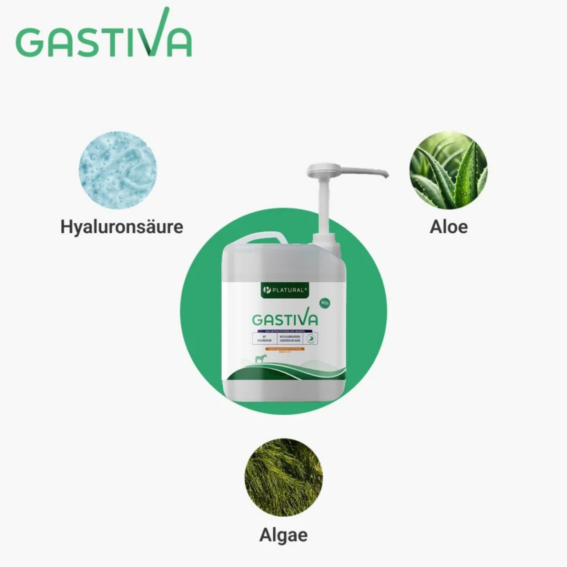 Gastiva 2,5l