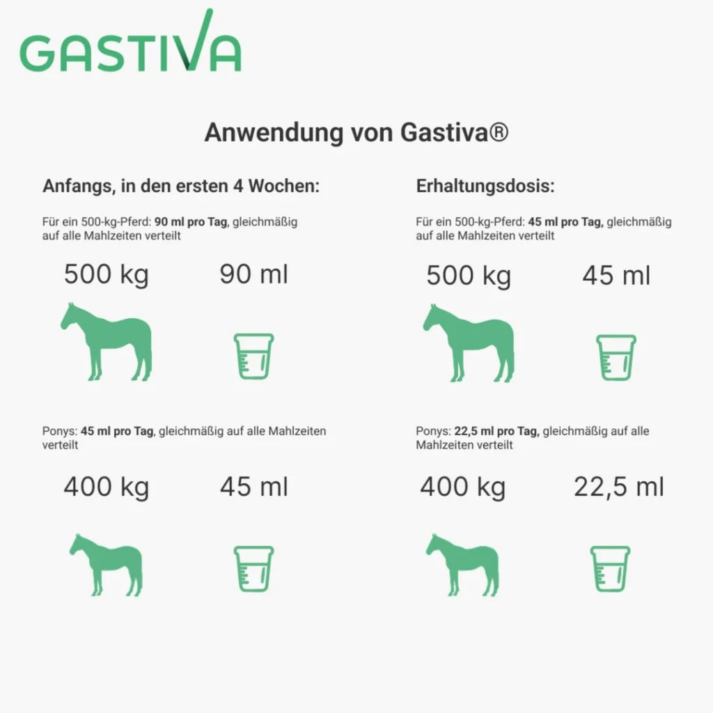 Gastiva 2,5l