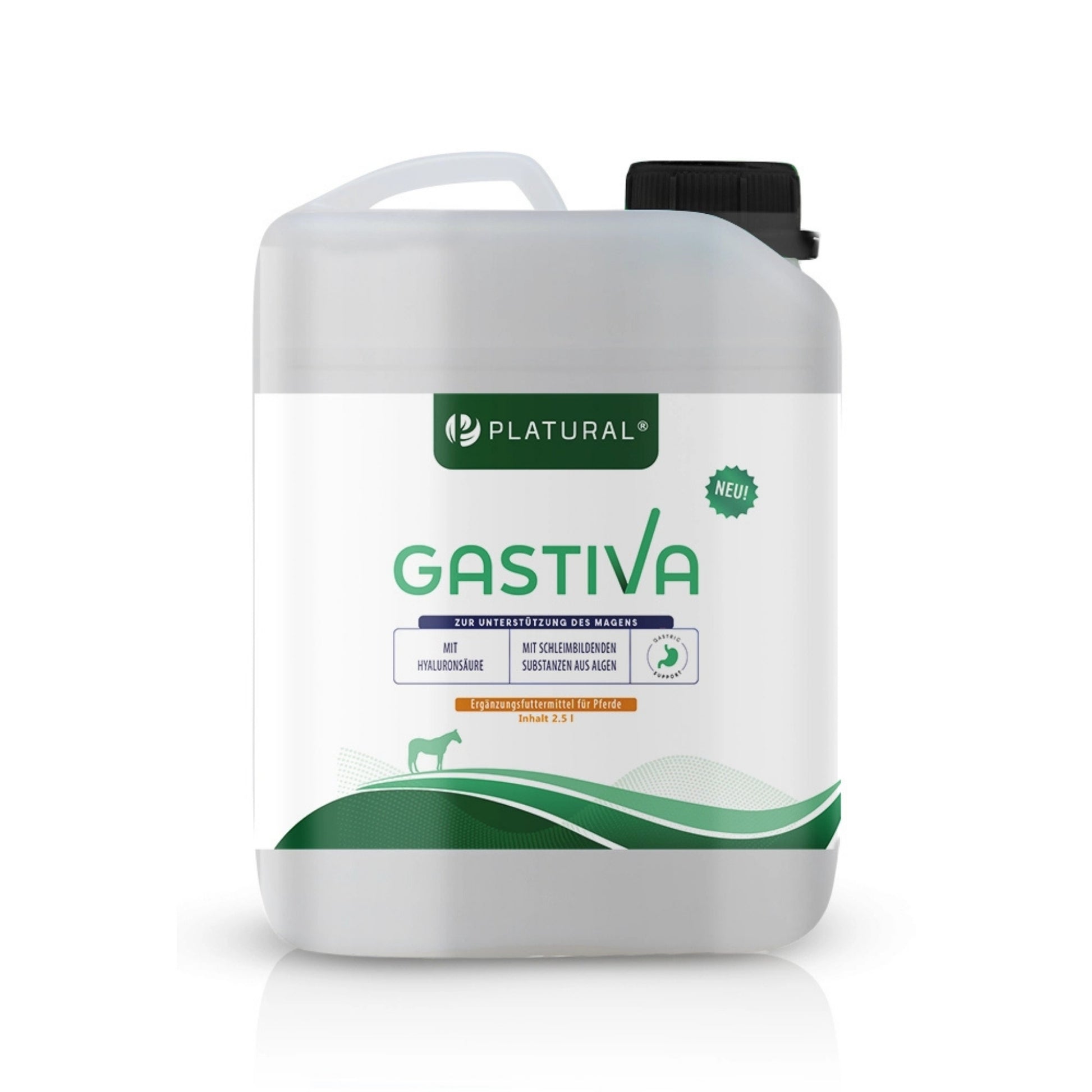 Gastiva 2,5l