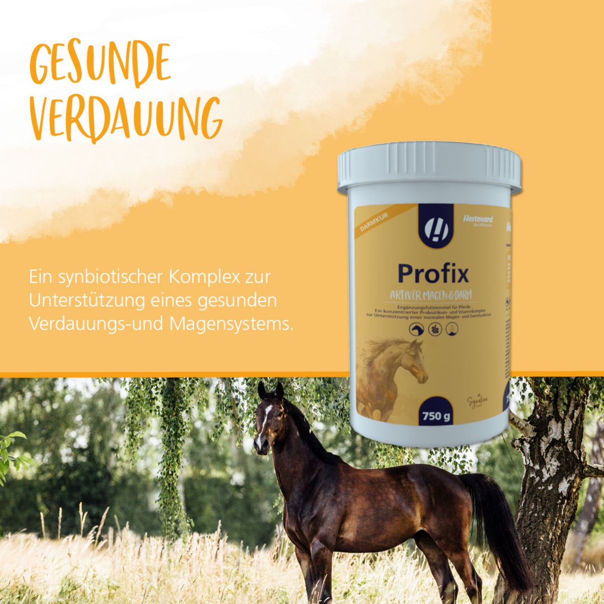 Hestevard Profix für Pferde 750g